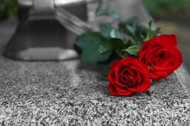 Photo of Red roses on grey granite tombstone outdoors, space for text