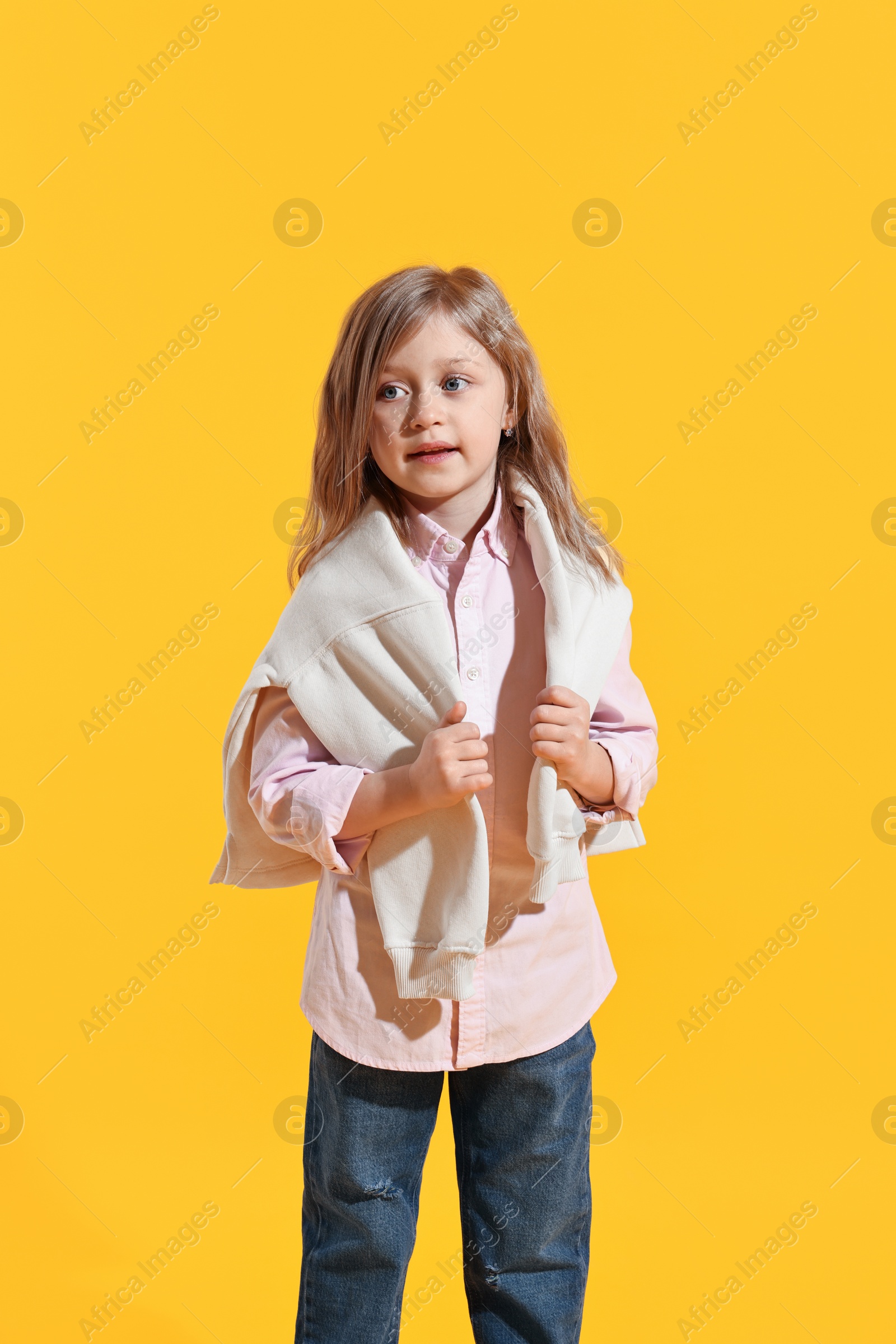 Photo of Fashion concept. Stylish girl posing on yellow background