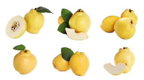 Image of Set of delicious ripe quinces on white background