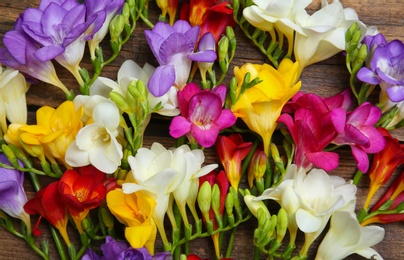 Beautiful freesia flowers on wooden background