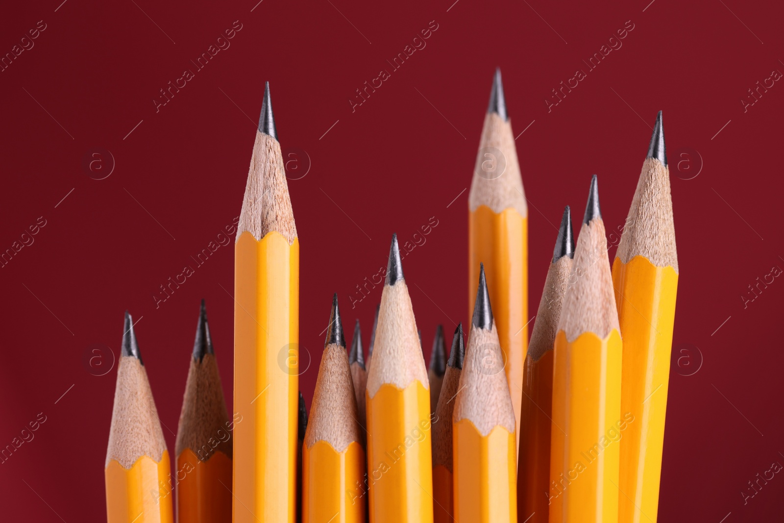 Photo of Many graphite pencils on burgundy background, macro view