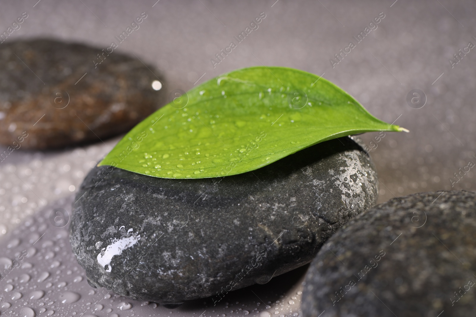 Photo of Wet spa stones and green leaf on grey background