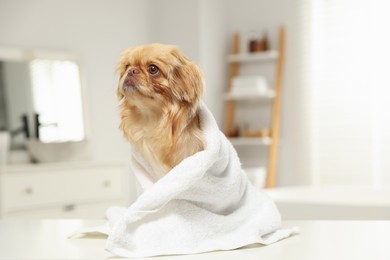 Cute Pekingese dog with towel in bathroom, space for text. Pet hygiene