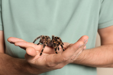 Man holding striped knee tarantula on beige background, closeup