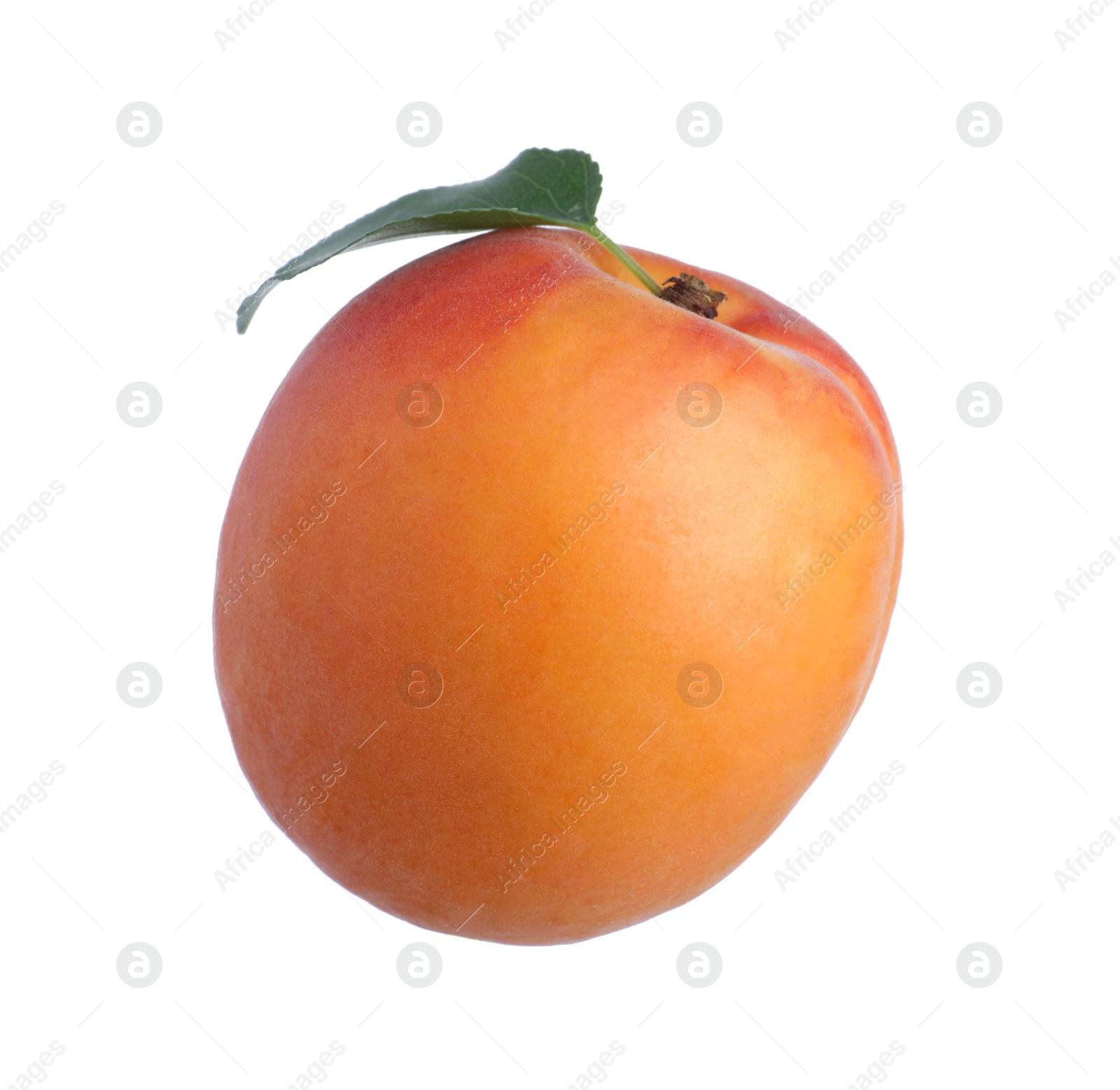 Photo of Delicious fresh ripe apricot isolated on white