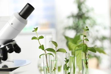 Photo of Test tubes with plants in rack on blurred background. Biological chemistry