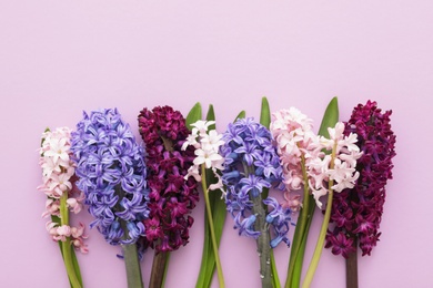 Beautiful spring hyacinth flowers on color background, top view. Space for text