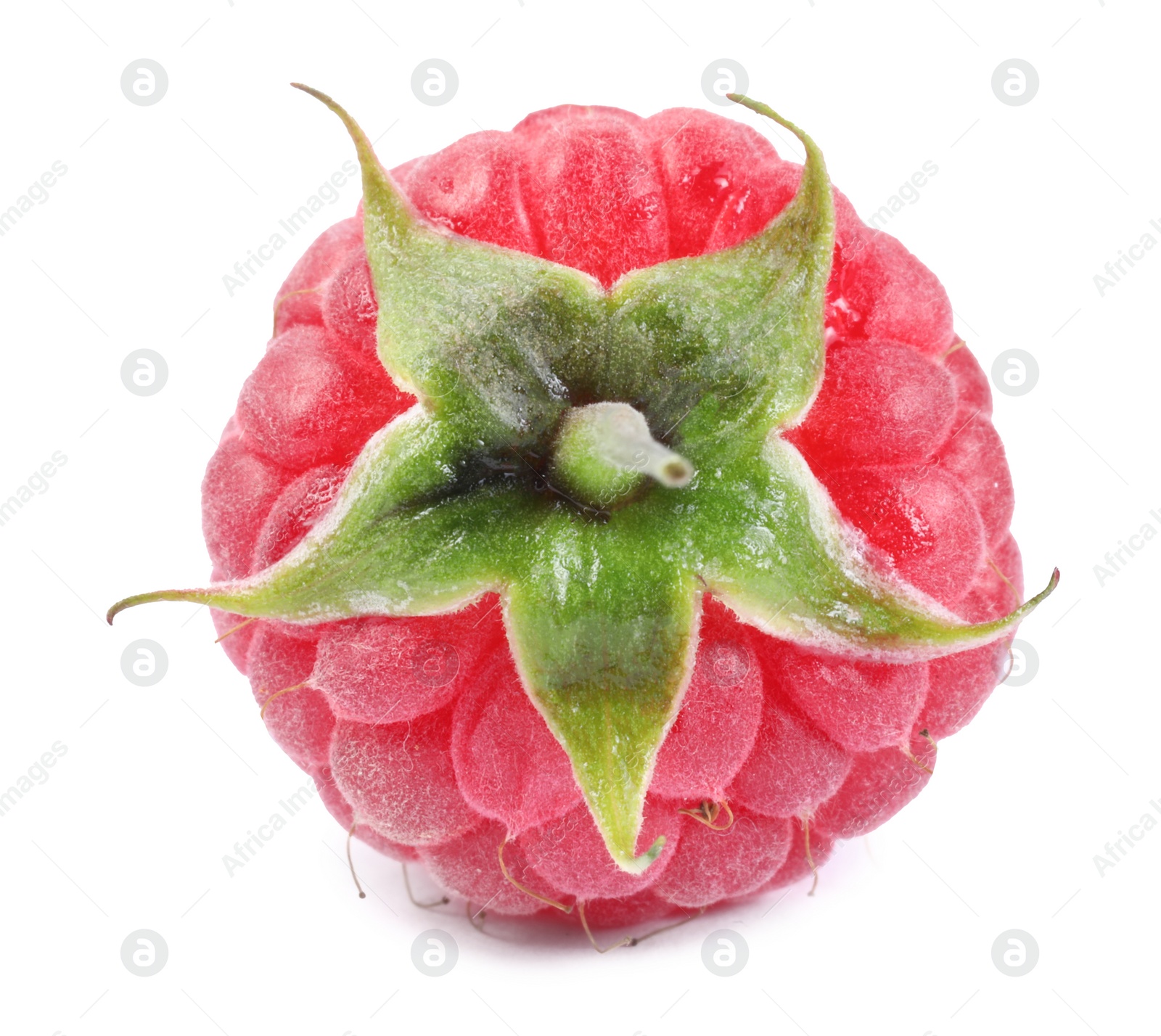 Photo of One tasty ripe raspberry isolated on white