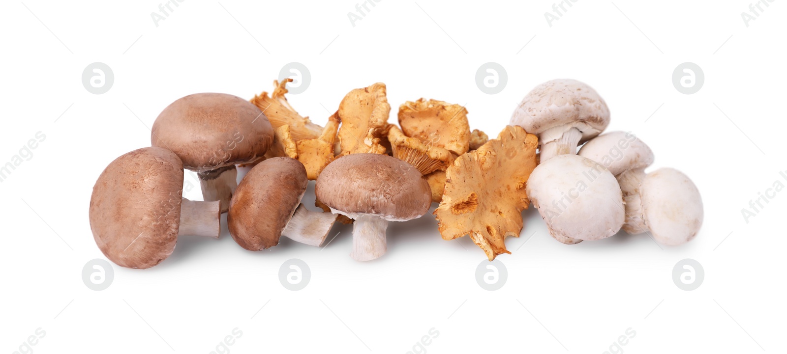 Photo of Pile of different mushrooms isolated on white