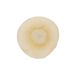 Photo of Piece of fresh parsnip isolated on white