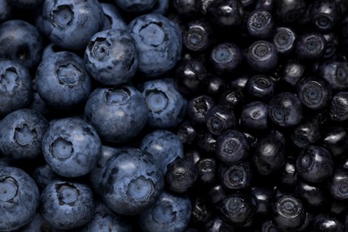 Ripe bilberries and blueberries as background, top view