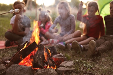 Photo of Little children frying marshmallows on bonfire. Summer camp
