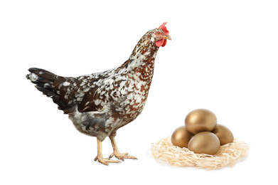 Image of Chicken and golden eggs on white background