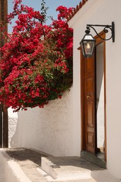 Beautiful blooming tree and elegant lantern near house entrance on sunny day