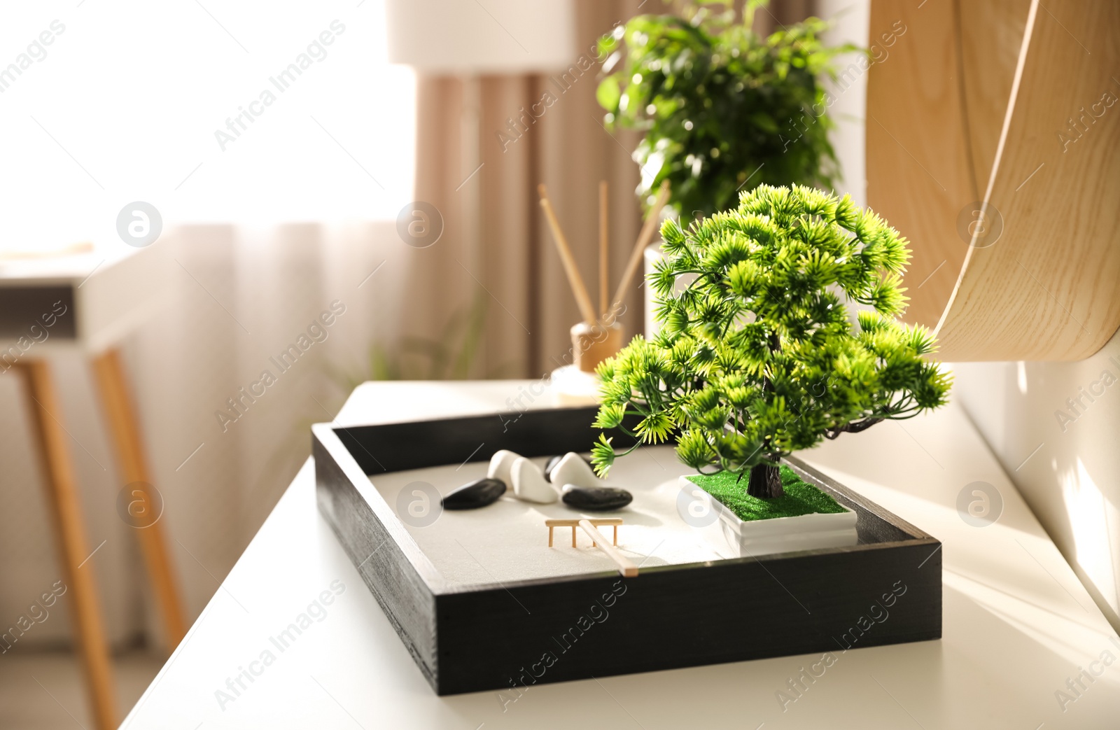 Photo of Beautiful miniature zen garden on white table indoors