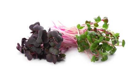 Fresh organic radish microgreens on white background