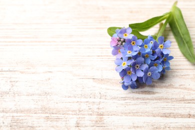 Photo of Beautiful blue Forget-me-not flower on white wooden table. Space for text