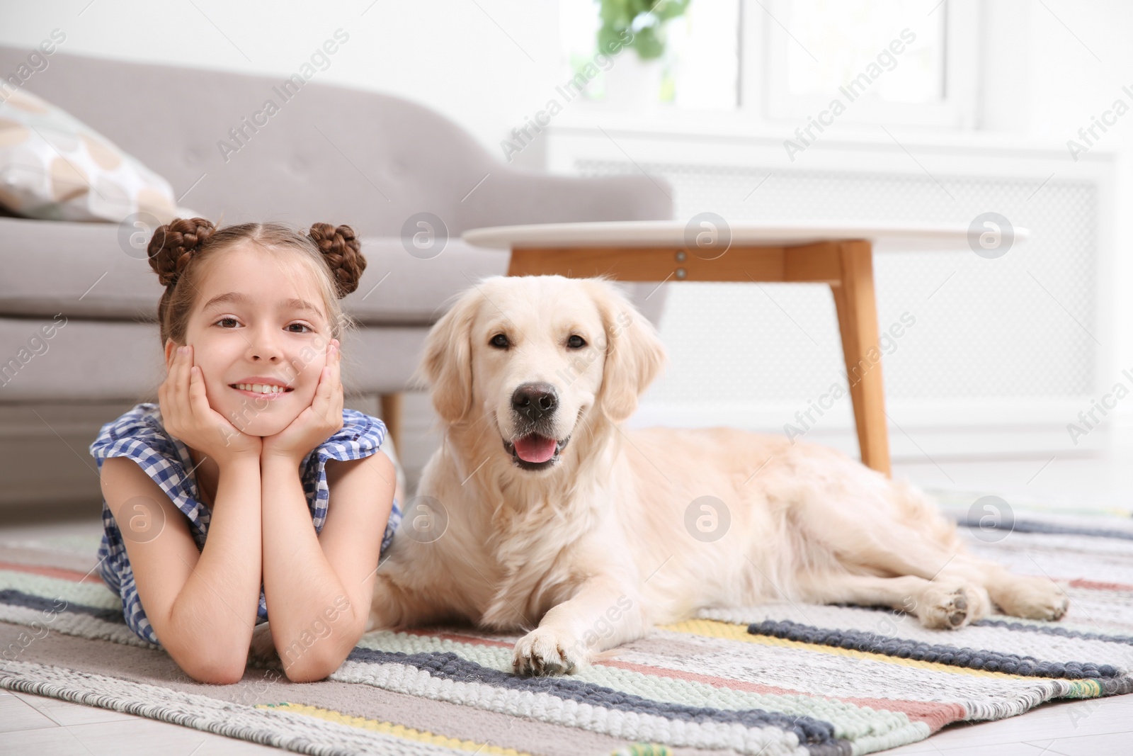 Photo of Cute little child with her pet on floor at home