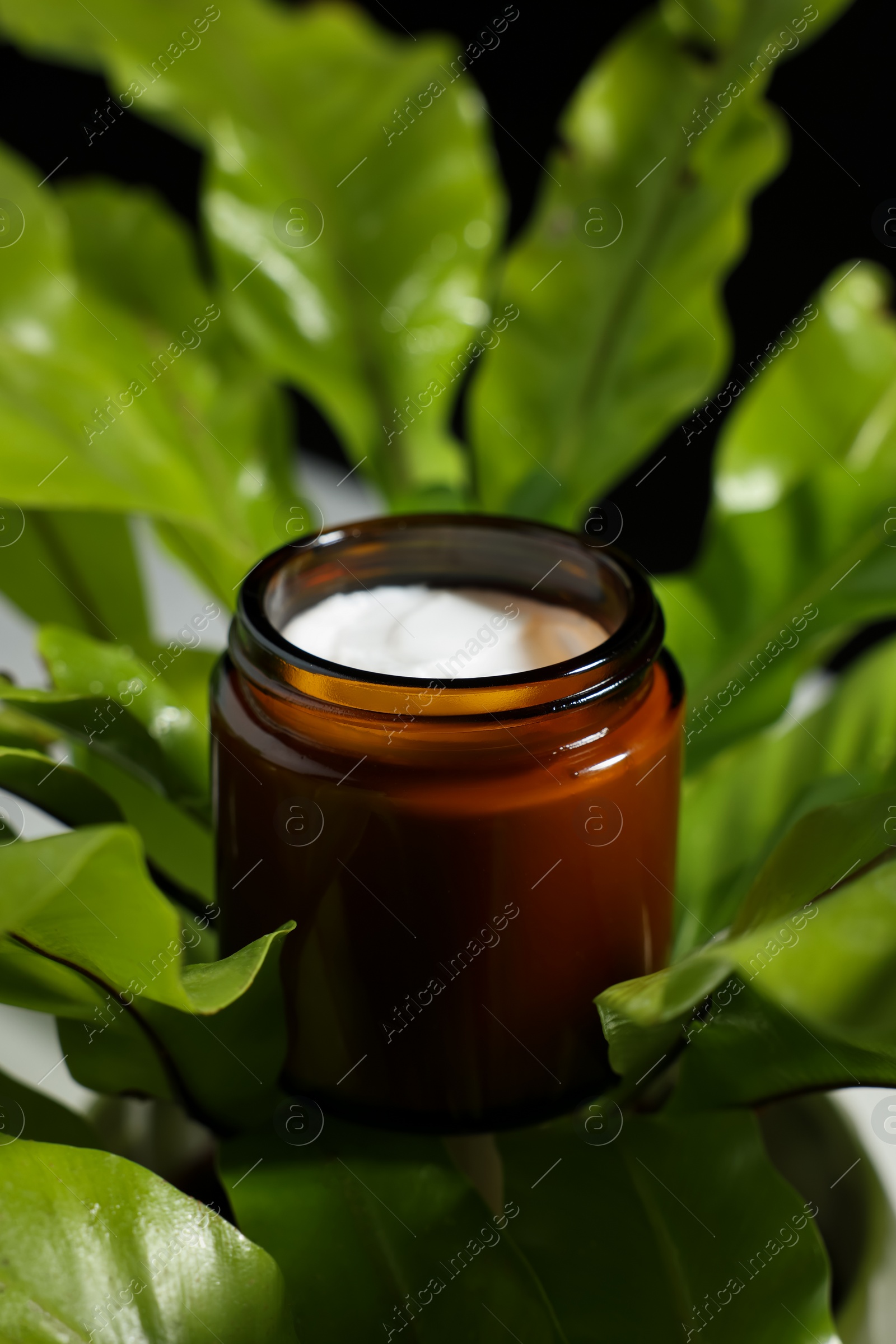 Photo of Open jar of luxury cream on green leaves, closeup