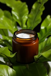 Open jar of luxury cream on green leaves, closeup