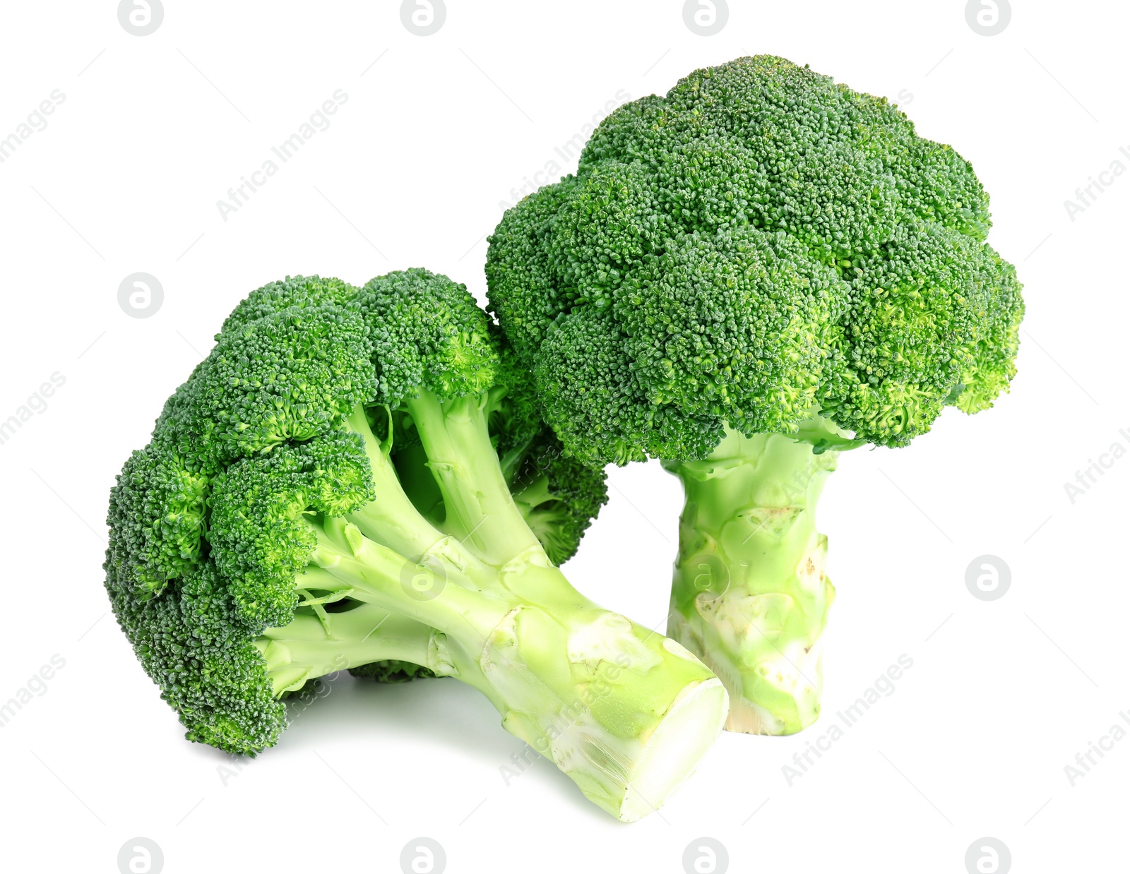 Photo of Fresh green broccoli on white background. Organic food