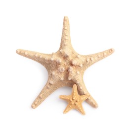 Beautiful sea stars (starfishes) isolated on white