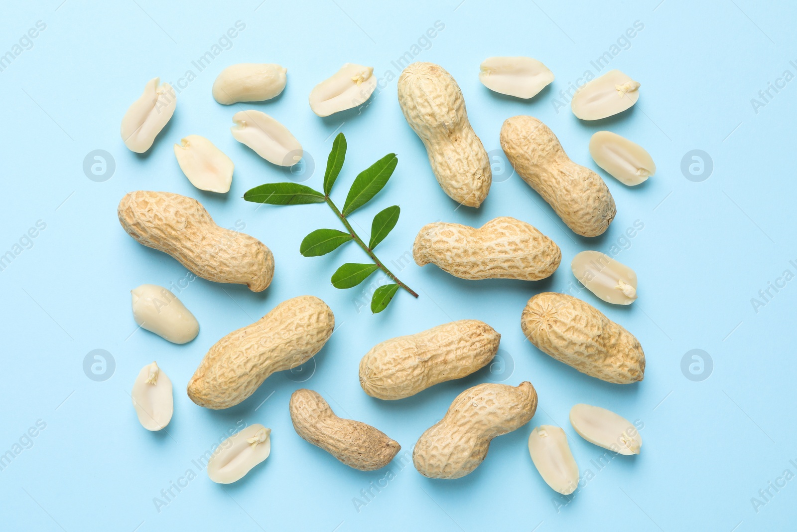 Photo of Fresh peanuts and twig on light blue background, flat lay