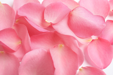 Fresh pink rose petals as background, closeup