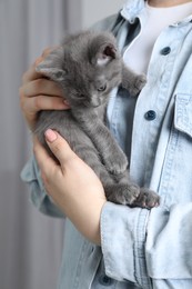 Photo of Woman with cute fluffy kitten indoors, closeup