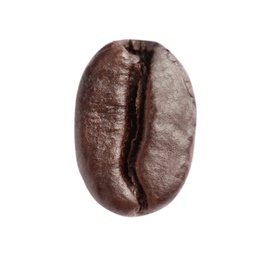 Photo of Roasted coffee bean on white background, top view