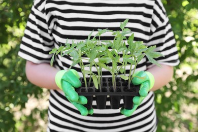 Photo of Woman in gardening gloves holding plastic container with seedlings outdoors, closeup
