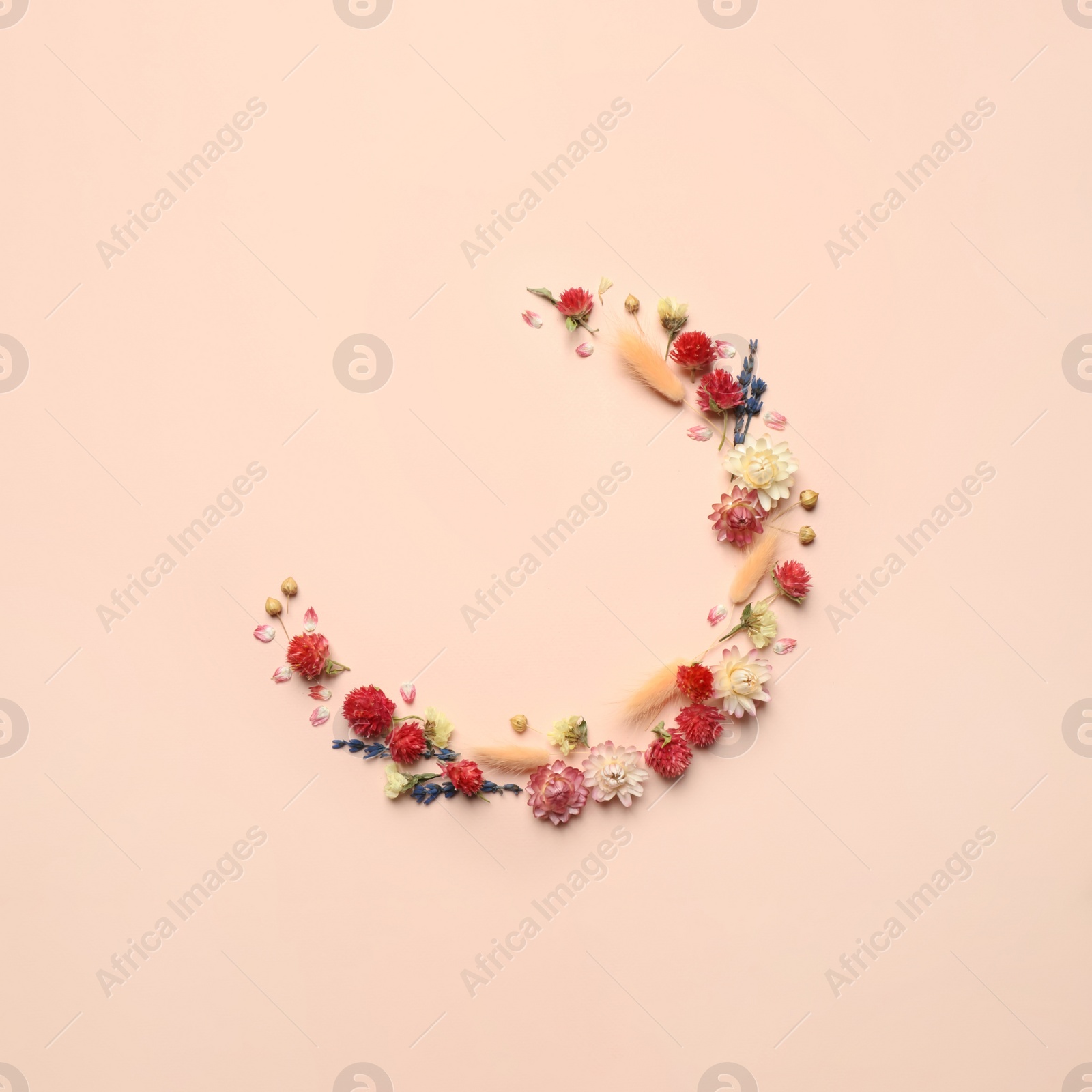 Photo of Flat lay composition with beautiful dried flowers on pink background. Space for text