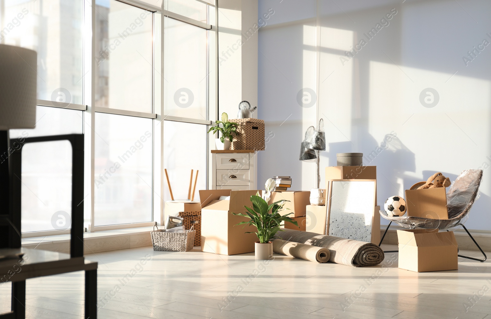 Photo of Cardboard boxes and household stuff in living room. Moving day