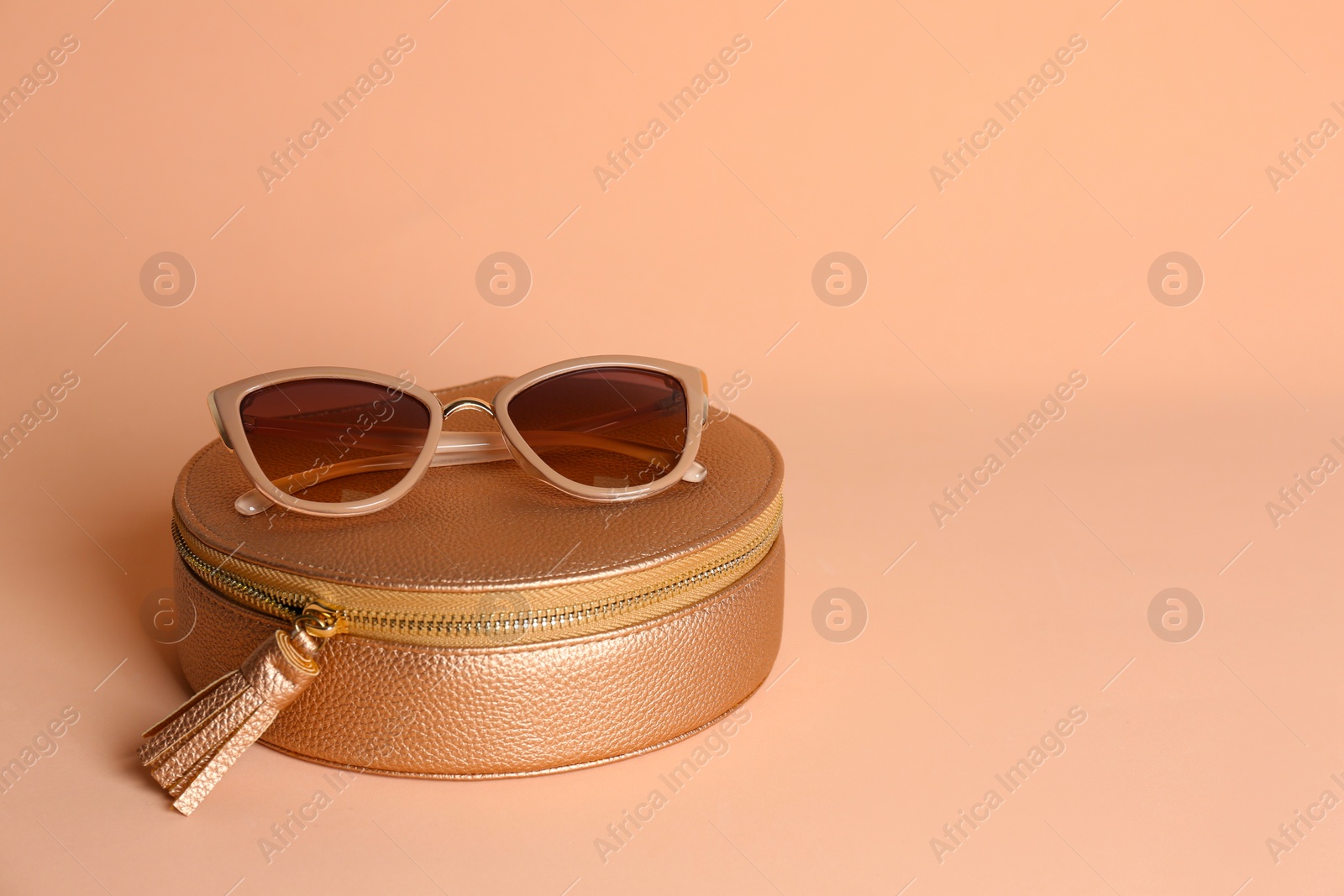 Photo of Stylish woman's bag and sunglasses on pale pink background. Space for text