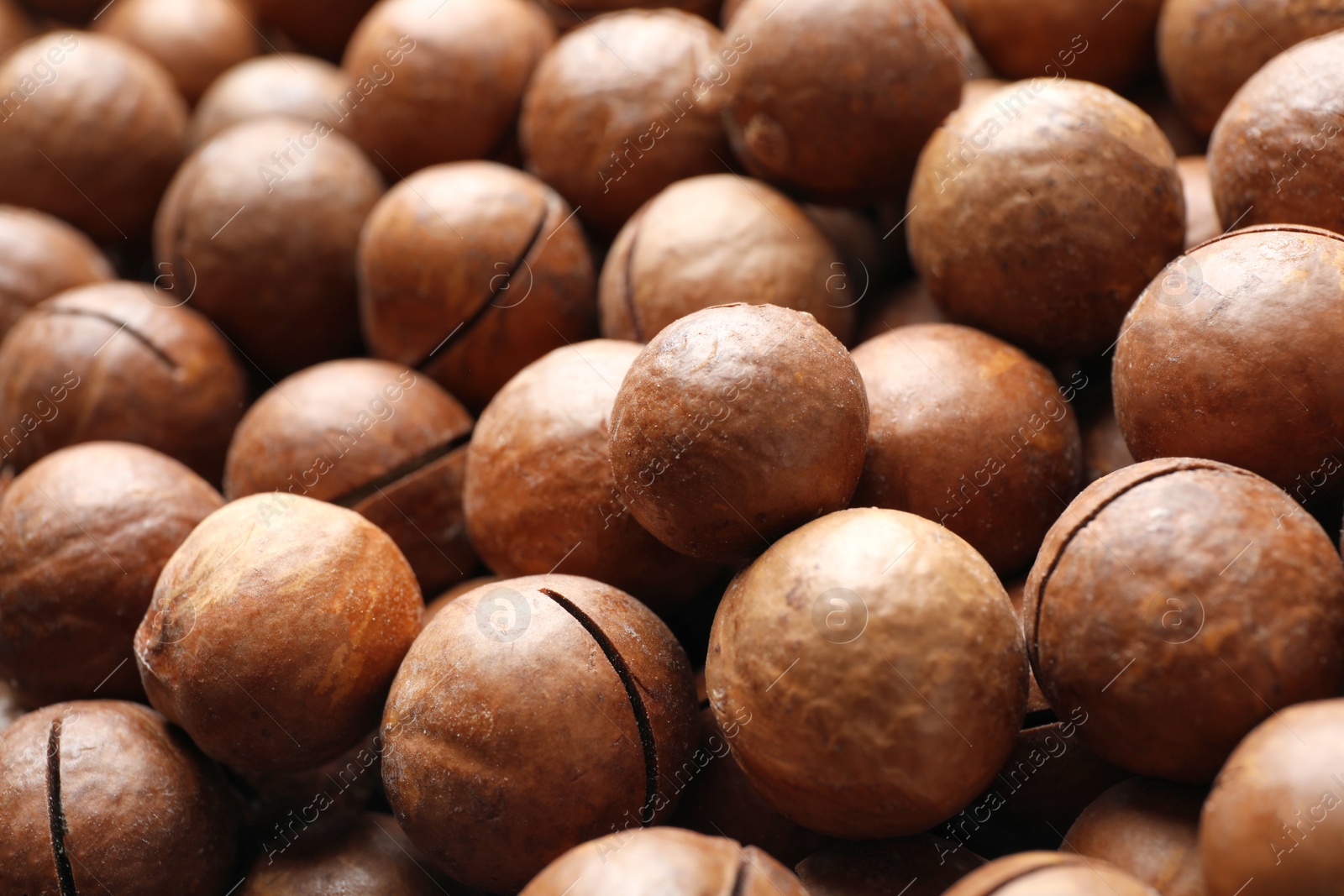 Photo of Many organic Macadamia nuts as background, closeup