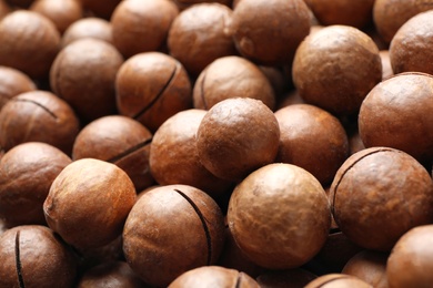 Many organic Macadamia nuts as background, closeup