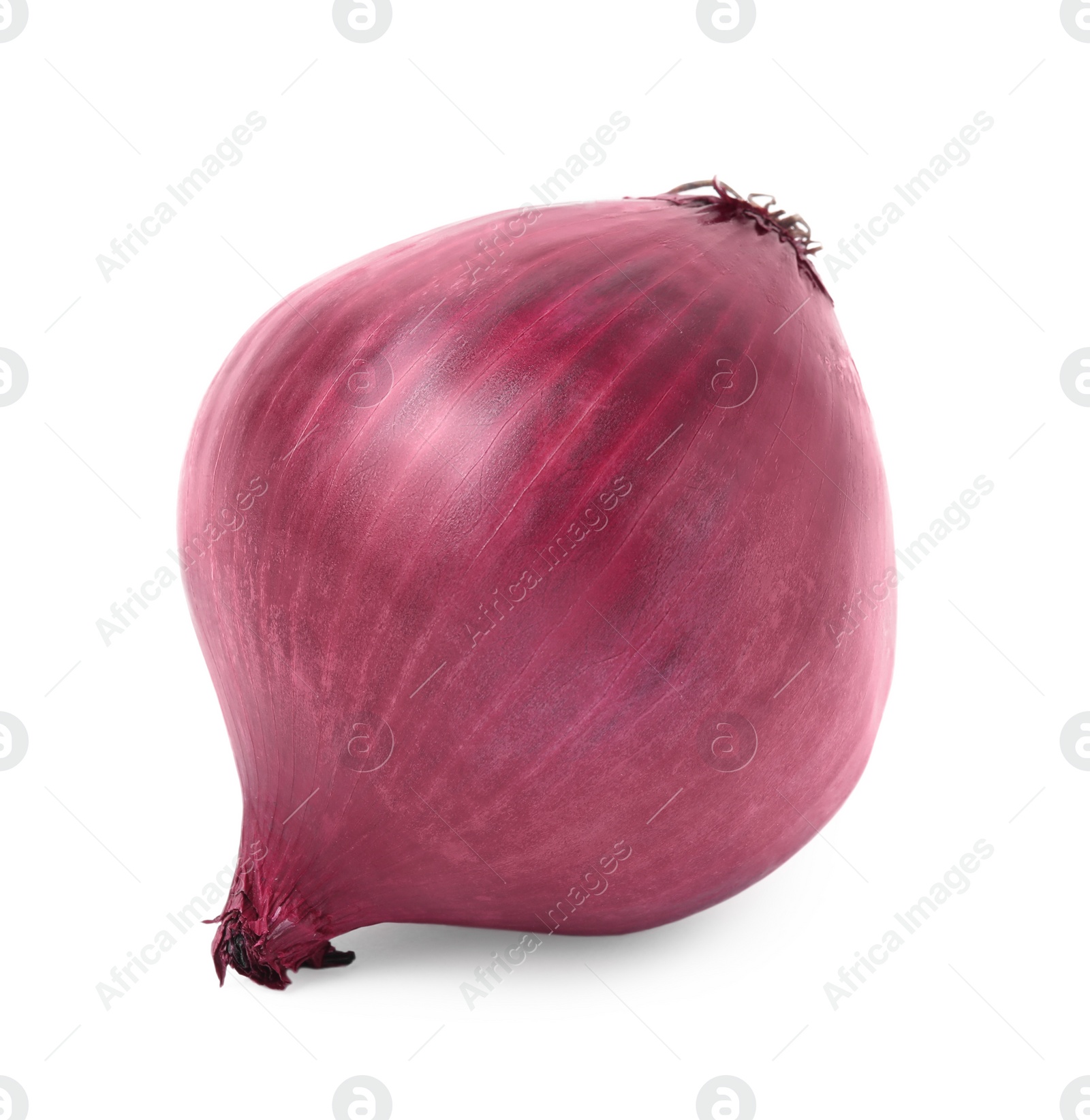 Photo of One fresh red onion on white background