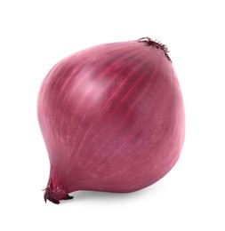 One fresh red onion on white background