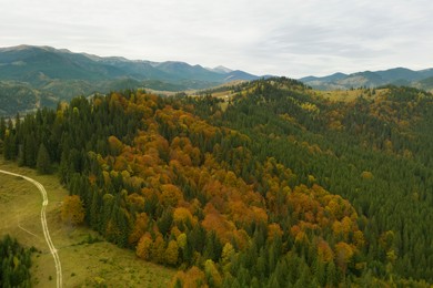 Image of Aerial view of beautiful mountain forest with countryside road on autumn day