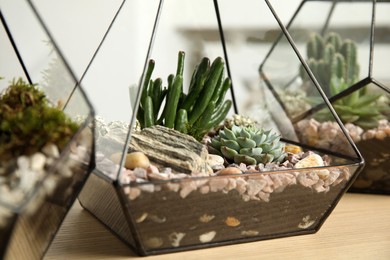 Glass florarium vases with succulents on wooden table, closeup