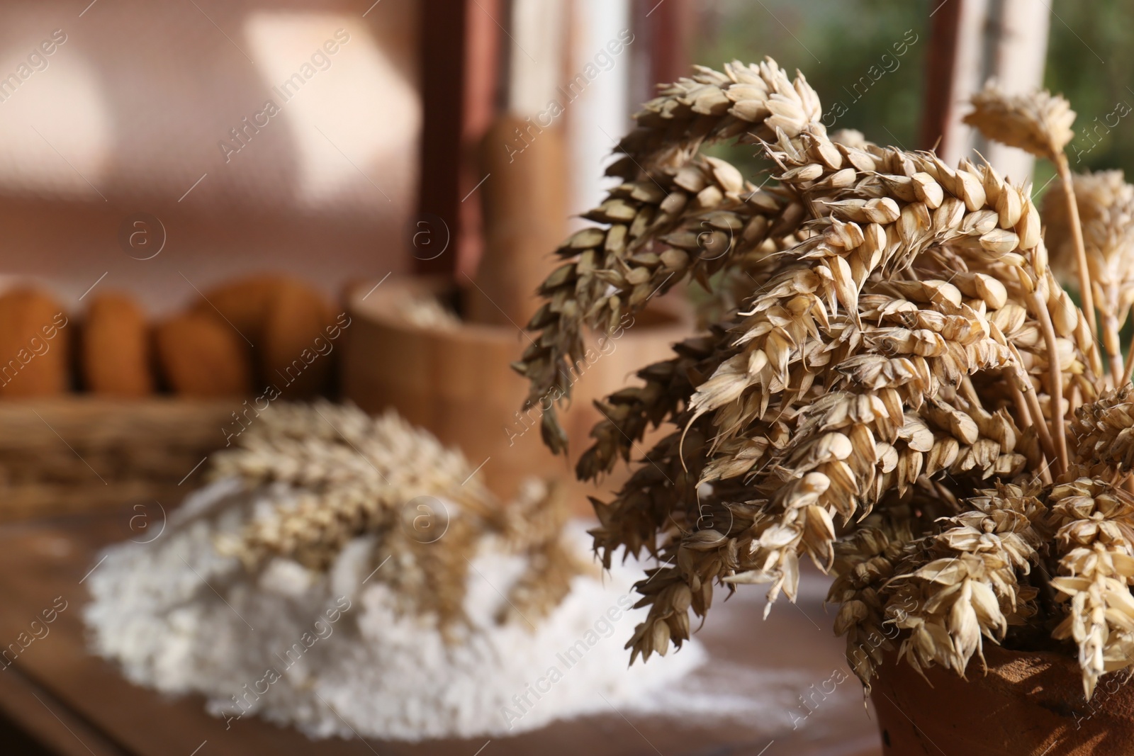 Photo of Wheat spikes against blurred background indoors, closeup. Space for text