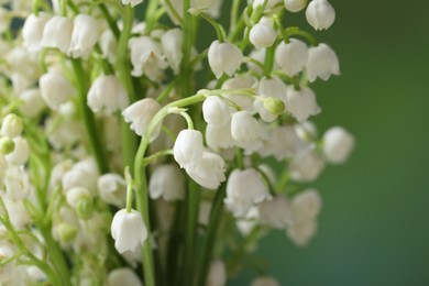 Beautiful lily of the valley flowers on blurred green background, closeup