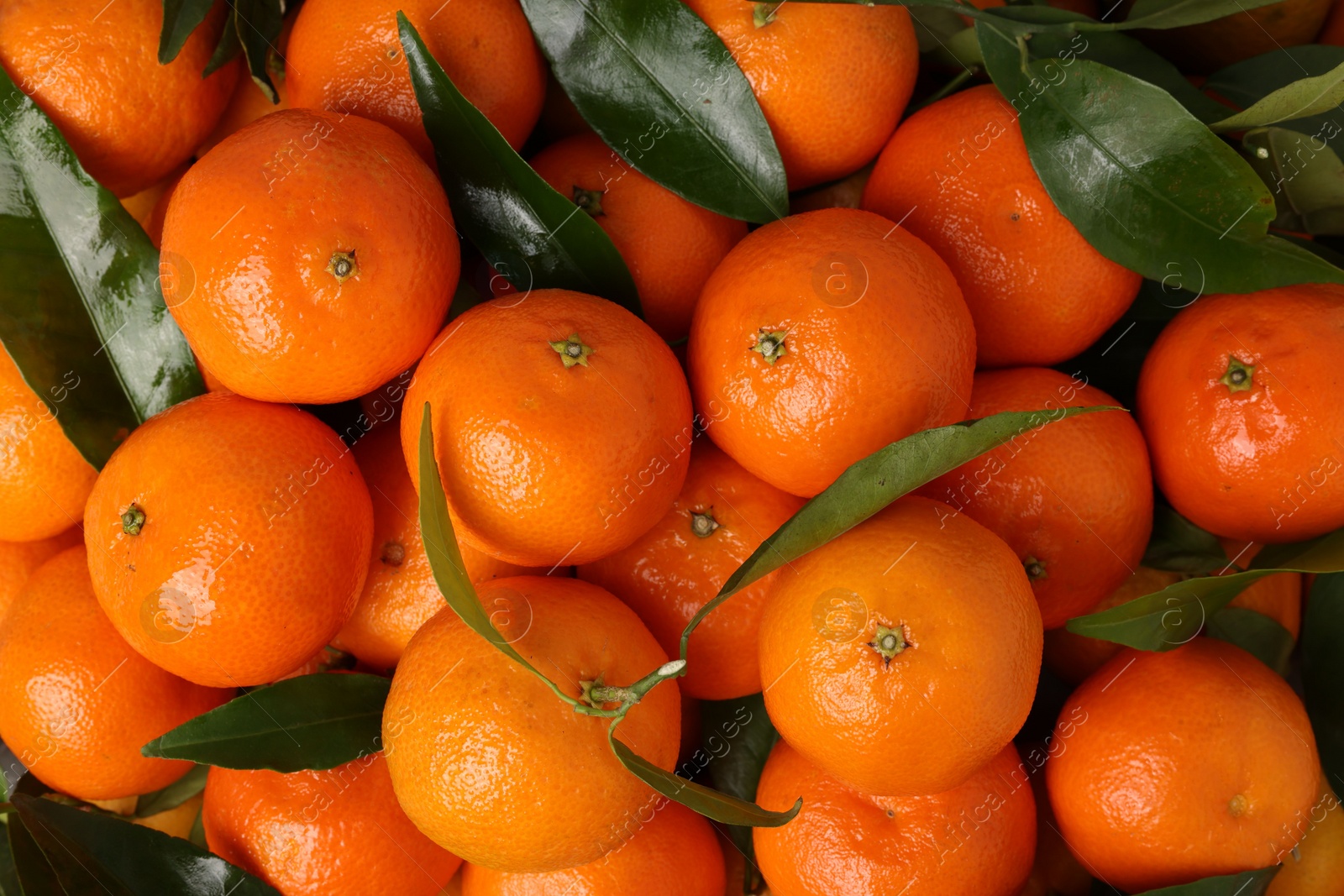 Photo of Delicious tangerines with leaves as background, top view