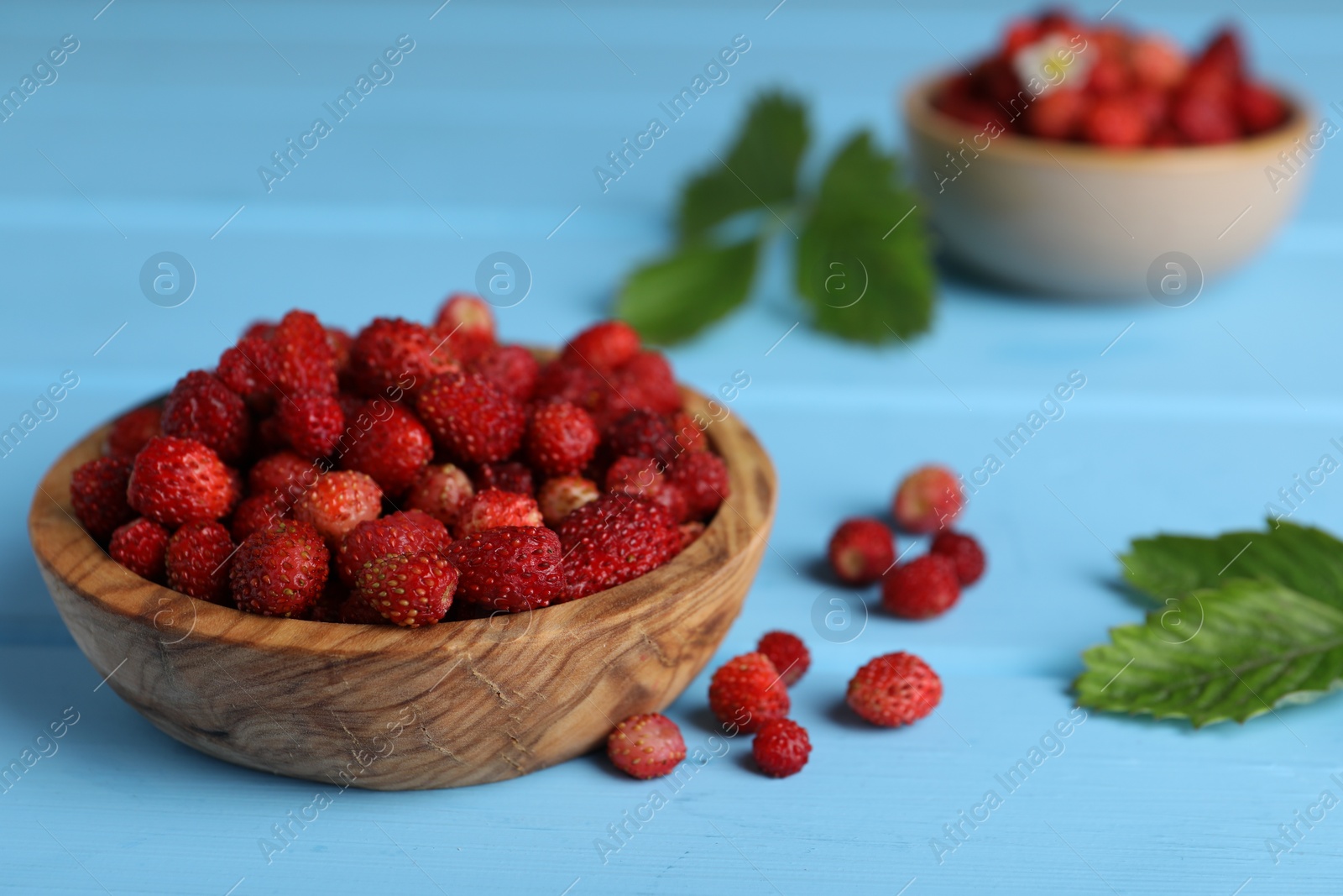 Photo of Fresh wild strawberries in bowl near leaves on light blue wooden table