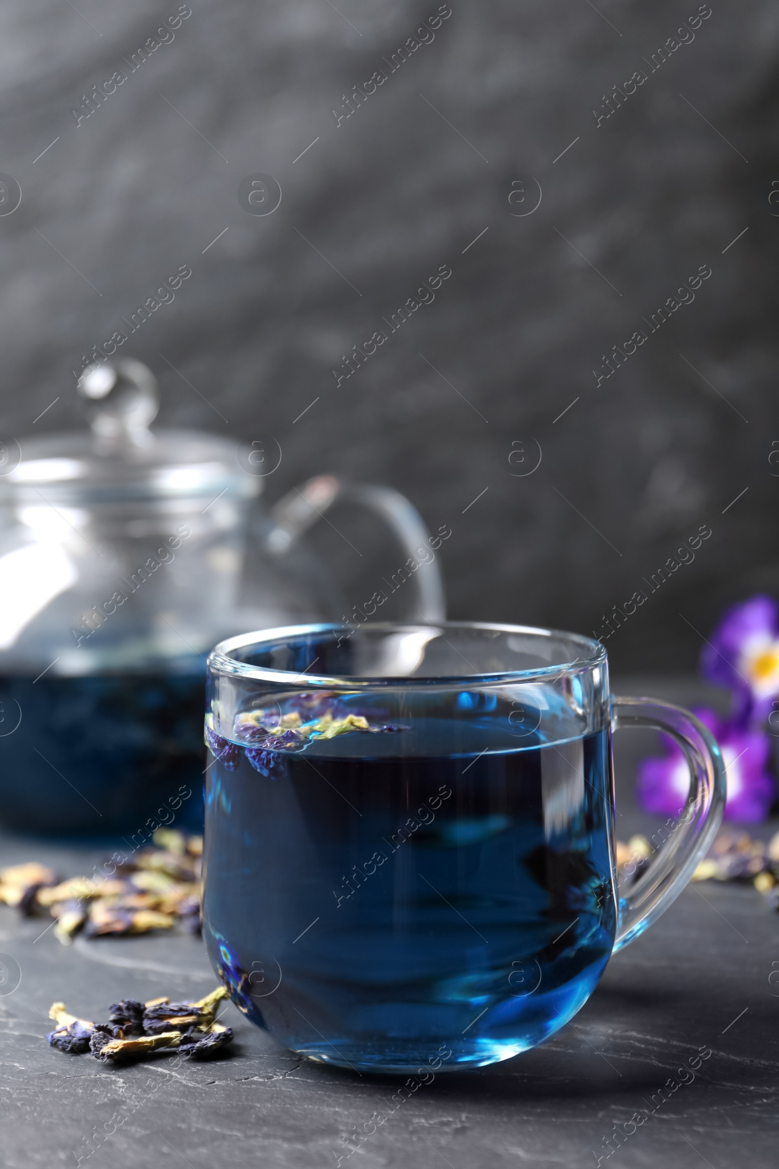 Photo of Glass cup of organic blue Anchan on black table, space for text. Herbal tea