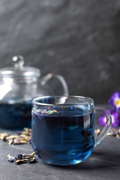 Glass cup of organic blue Anchan on black table, space for text. Herbal tea