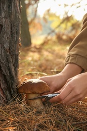 Woman cutting mushroom with knife in forest, closeup
