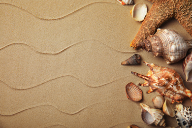 Different beautiful sea shells on sand, flat lay. Space for text