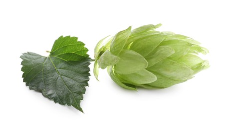 Photo of Fresh hop flower with leaf isolated on white