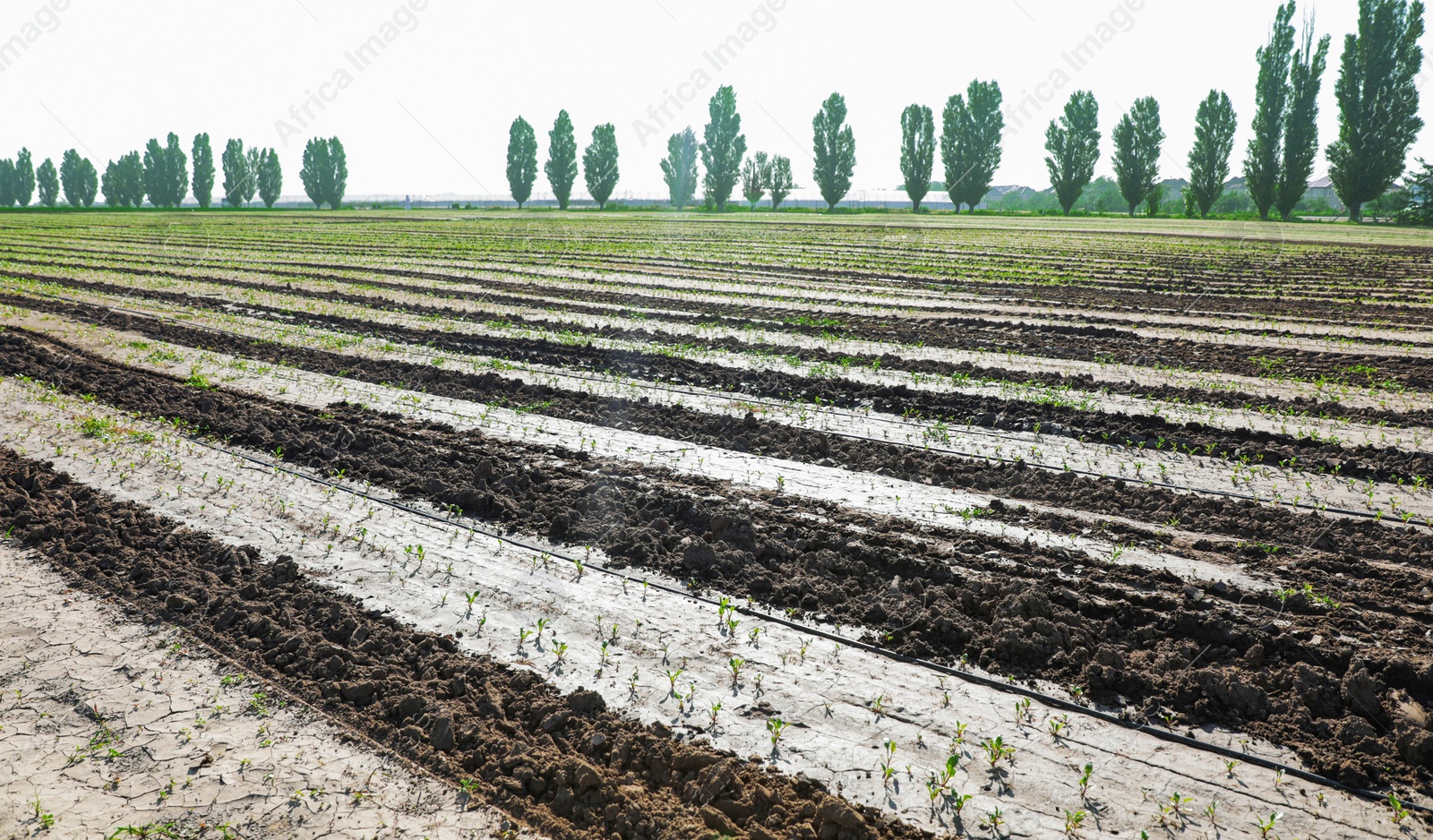 Photo of Beautiful landscape with ploughed field on sunny day